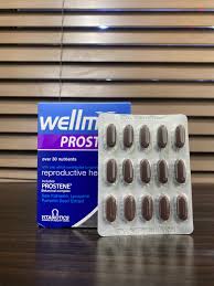 wellman prostace 60tablets
